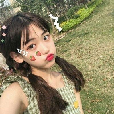 胡同猫
